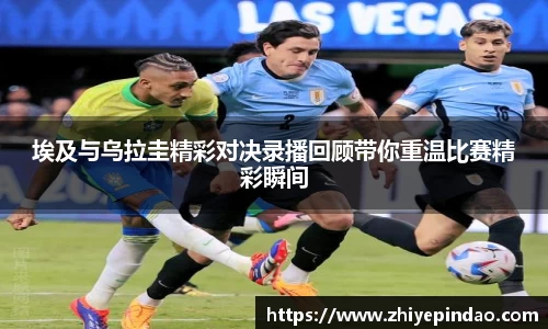 VSport胜利因您更精彩